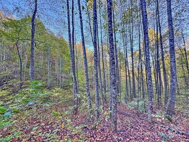 0 Wesser Creek Rd, Bryson City, NC 28713 - photo 5