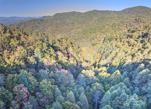0 Wesser Creek Rd, Bryson City, NC 28713 - photo 6