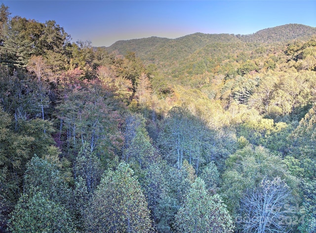 0 Wesser Creek Rd, Bryson City, NC 28713 - photo 8