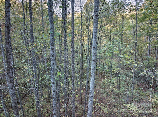 0 Wesser Creek Rd, Bryson City, NC 28713 - photo 11