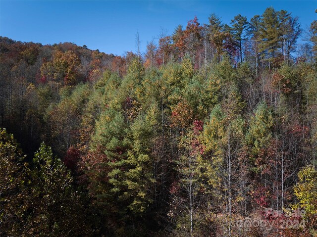 0 Wesser Creek Rd, Bryson City, NC 28713 - photo 1