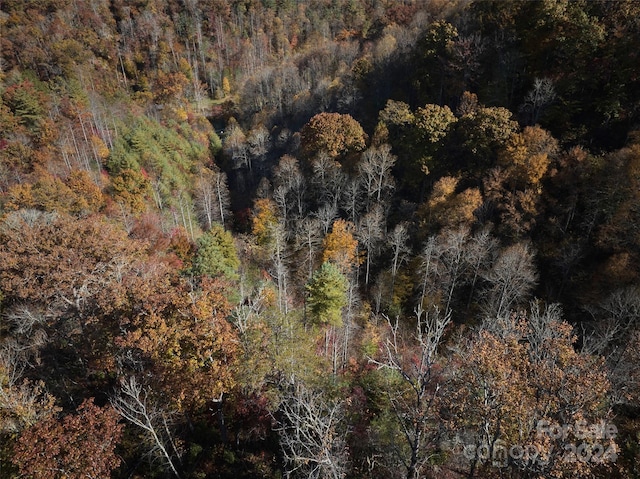 0 Wesser Creek Rd, Bryson City, NC 28713 - photo 12