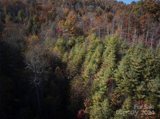0 Wesser Creek Rd, Bryson City, NC 28713 - photo 13