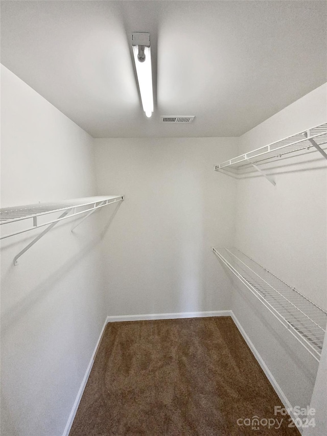 walk in closet featuring carpet