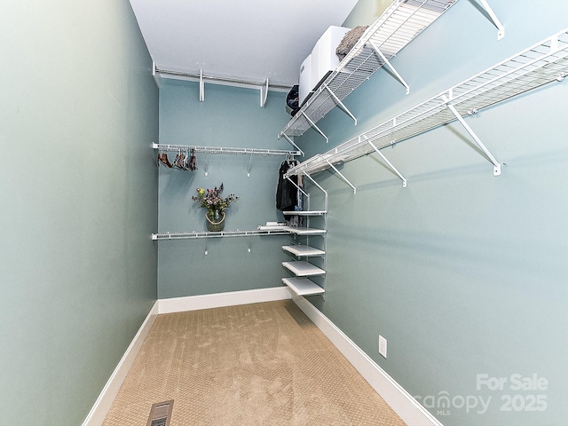 spacious closet with carpet floors