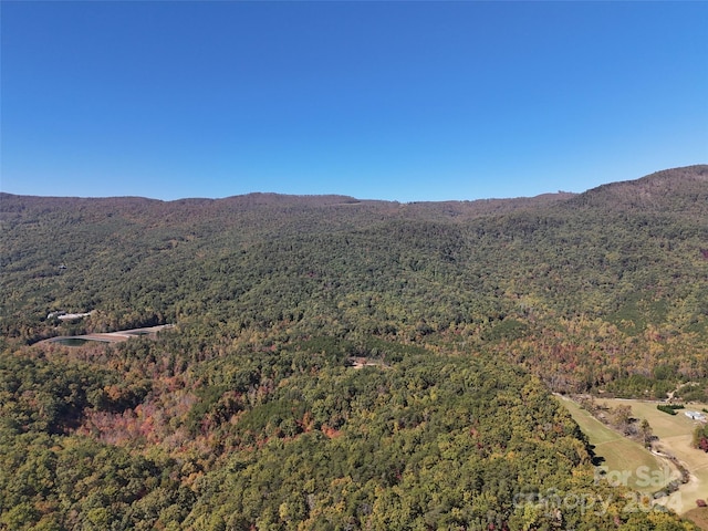 Listing photo 3 for 46.6ACRES Regan Jackson Rd, Mill Spring NC 28756