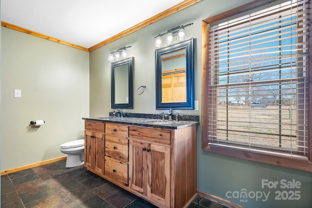 bathroom with toilet, ornamental molding, a healthy amount of sunlight, and vanity