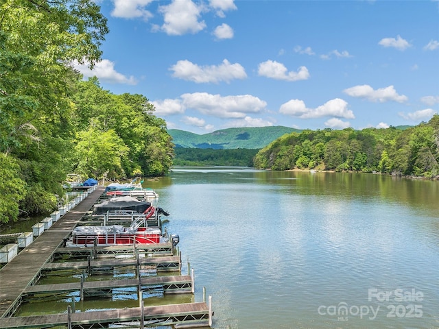 water view with a mountain view and a boat dock