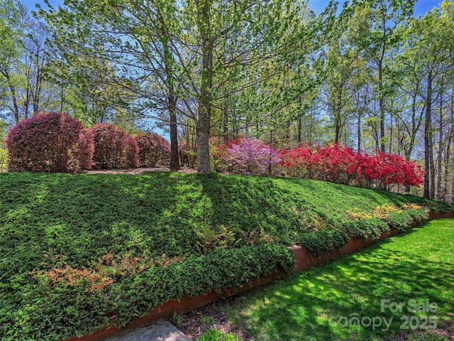 121 Canoe Dr, Mill Spring, NC 28756 - view of yard