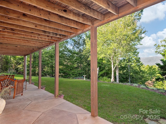 121 Canoe Dr, Mill Spring, NC 28756 - view of patio