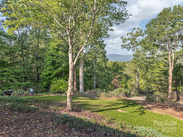 121 Canoe Dr, Mill Spring, NC 28756 - view of yard with a forest view