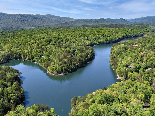 121 Canoe Dr, Mill Spring, NC 28756 - drone / aerial view featuring a view of trees and a water and mountain view