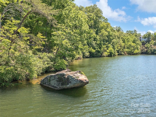 121 Canoe Dr, Mill Spring, NC 28756 - property view of water