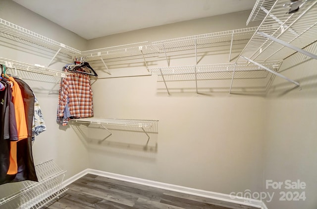 walk in closet with wood-type flooring