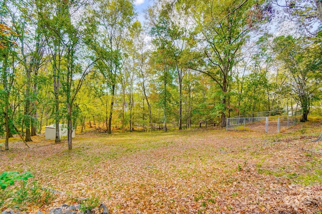 view of yard featuring a storage unit