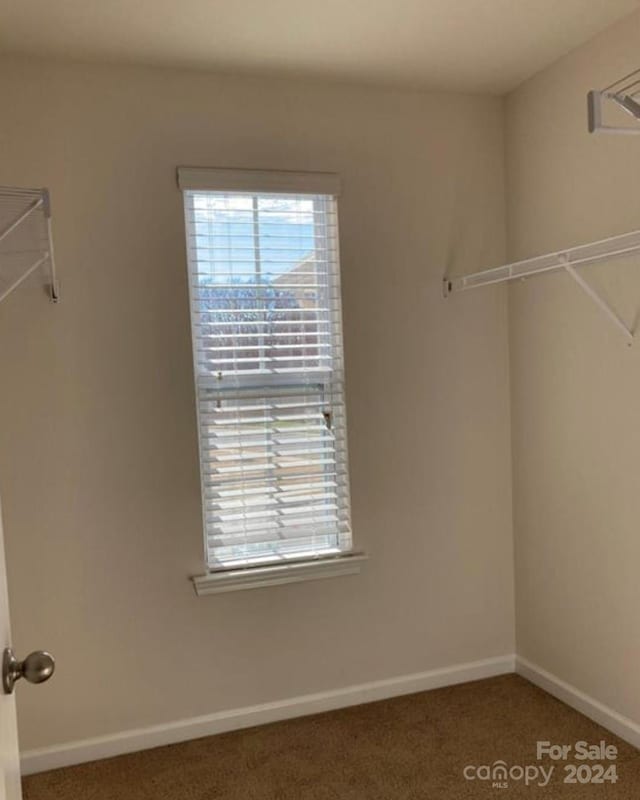 walk in closet featuring carpet