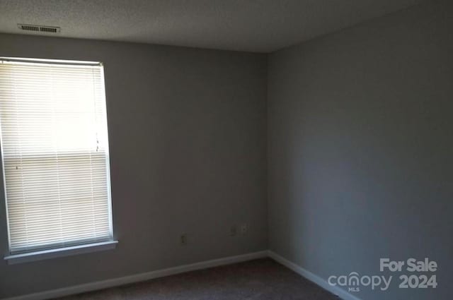 spare room with carpet flooring and a textured ceiling