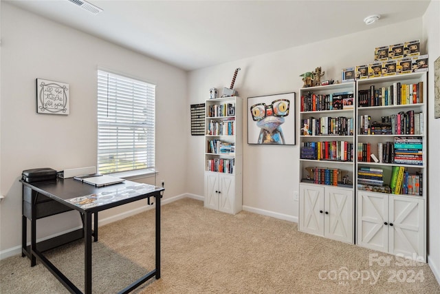 office space with light carpet