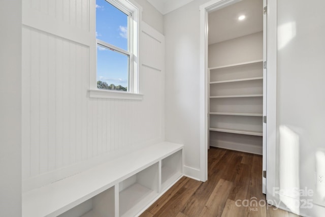 walk in closet with dark hardwood / wood-style floors