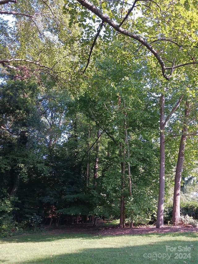 309 Rodoret St N, Valdese, NC 28690 - view of yard with a view of trees
