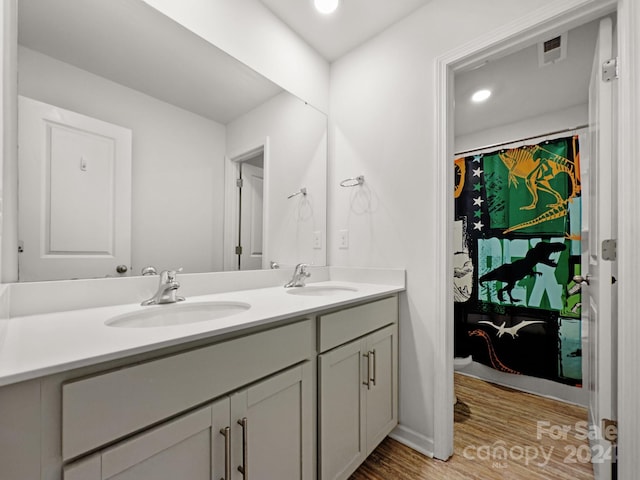 bathroom with hardwood / wood-style floors and vanity