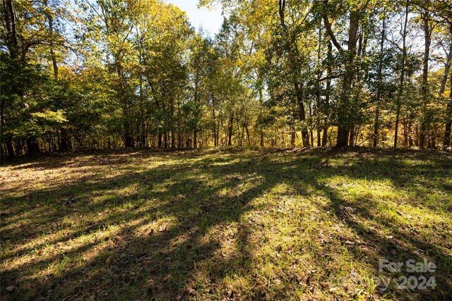 1111 Turkey Creek Ridge Rd, York, SC 29745 - photo 16