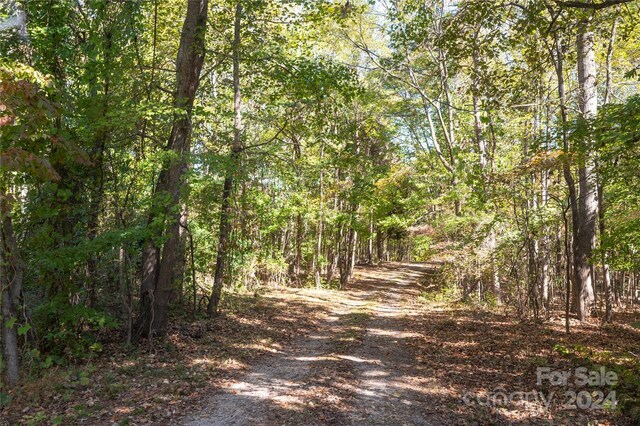 1111 Turkey Creek Ridge Rd, York, SC 29745 - photo 18