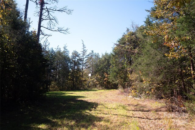 1111 Turkey Creek Ridge Rd, York, SC 29745 - photo 21