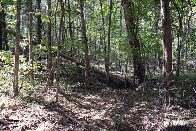 1111 Turkey Creek Ridge Rd, York, SC 29745 - photo 22