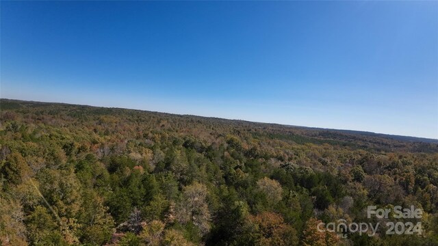 1111 Turkey Creek Ridge Rd, York, SC 29745 - photo 29