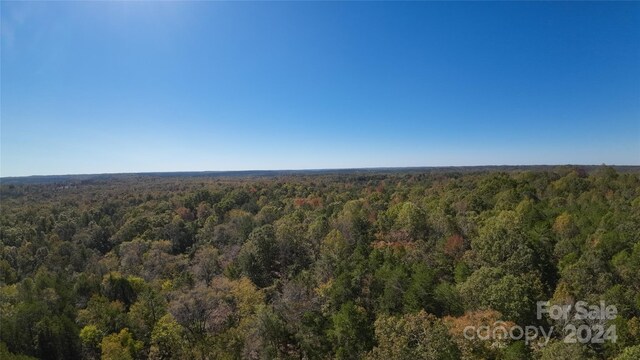 1111 Turkey Creek Ridge Rd, York, SC 29745 - photo 31