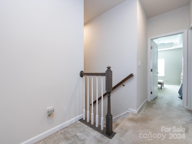 stairs with carpet floors