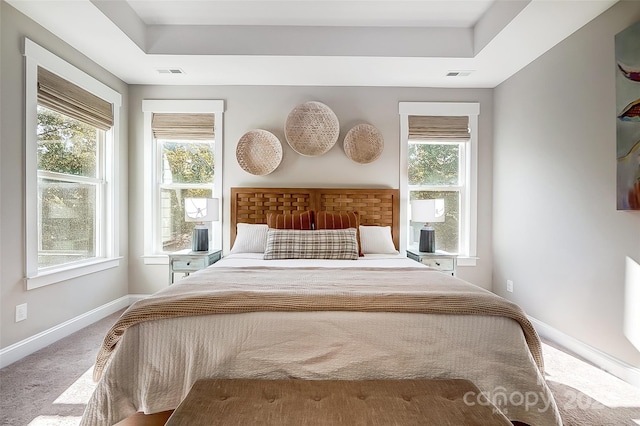 bedroom featuring carpet floors and a tray ceiling