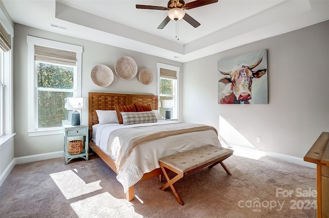 carpeted bedroom featuring a raised ceiling, multiple windows, and ceiling fan