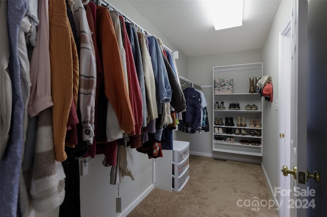 spacious closet featuring light colored carpet