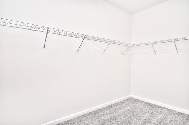 walk in closet with carpet