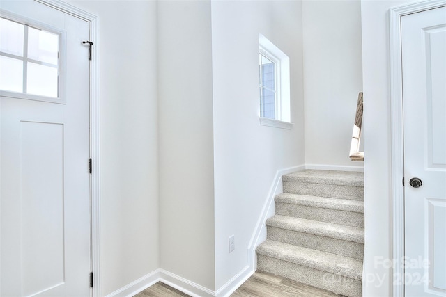 stairway with hardwood / wood-style flooring