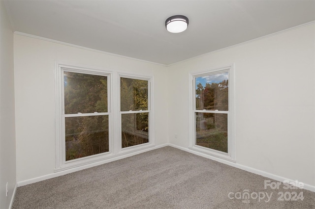 carpeted spare room with ornamental molding