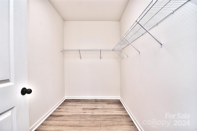 spacious closet featuring hardwood / wood-style floors