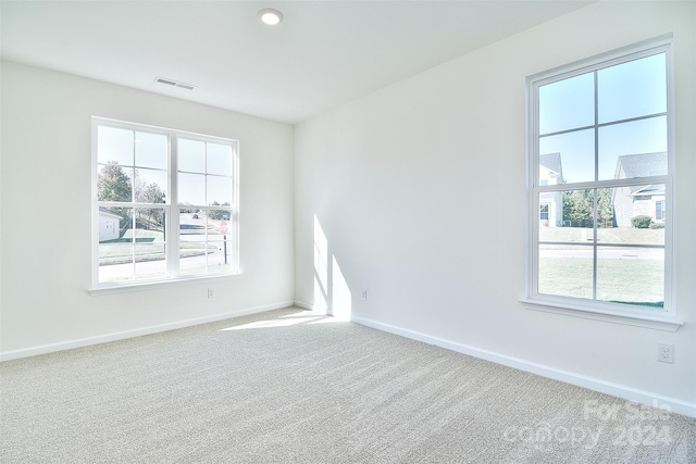 spare room with carpet and a healthy amount of sunlight