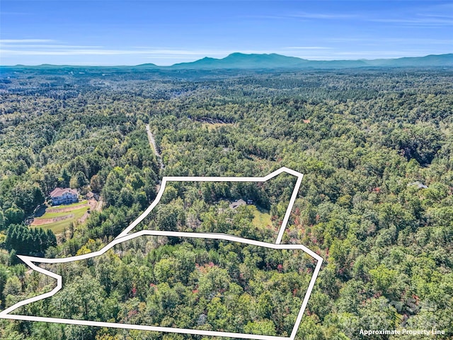 drone / aerial view with a mountain view