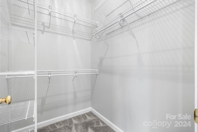 spacious closet with carpet