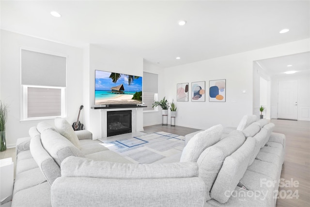 living room featuring light hardwood / wood-style floors