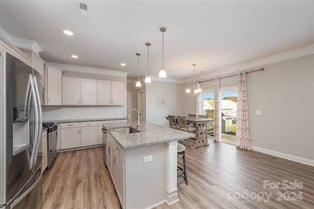 kitchen with sink, an island with sink, light hardwood / wood-style floors, and stainless steel appliances