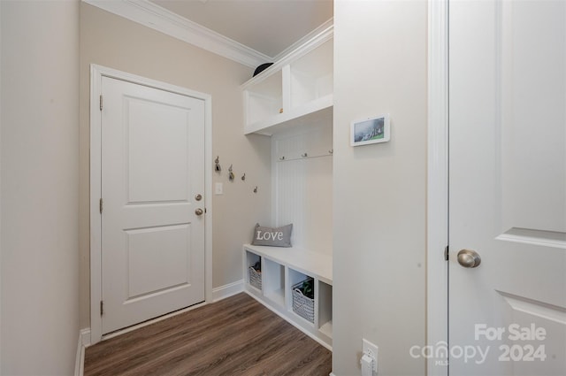 mudroom with dark hardwood / wood-style floors and crown molding