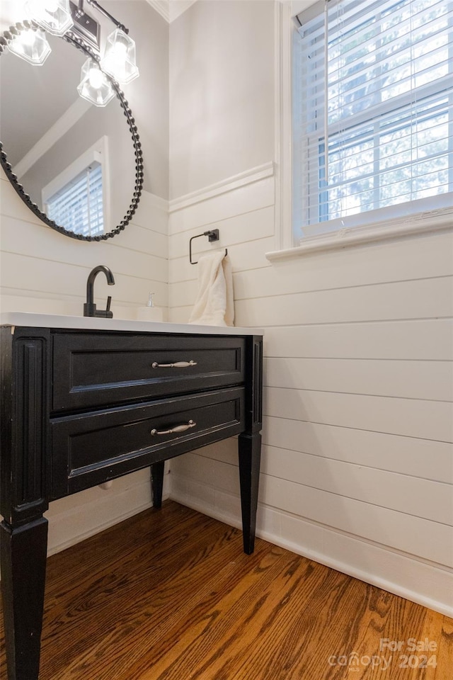 bathroom featuring wood walls, wood-type flooring, and vanity