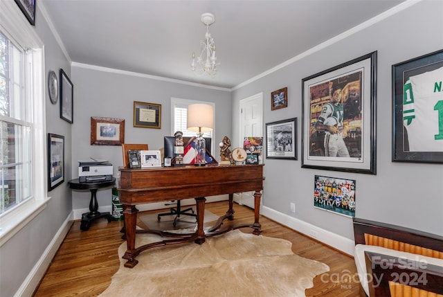 office area featuring wood-type flooring and crown molding