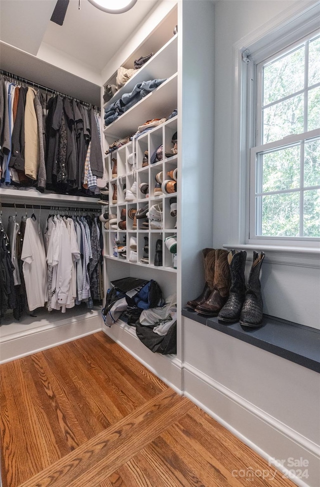 walk in closet with hardwood / wood-style flooring