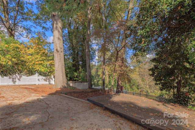 view of yard with a patio