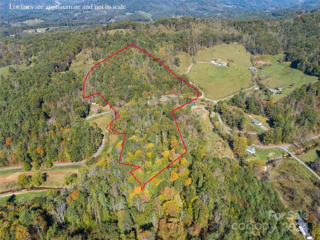 1316 Paint Fork Rd, Mars Hill NC, 28754 land for sale